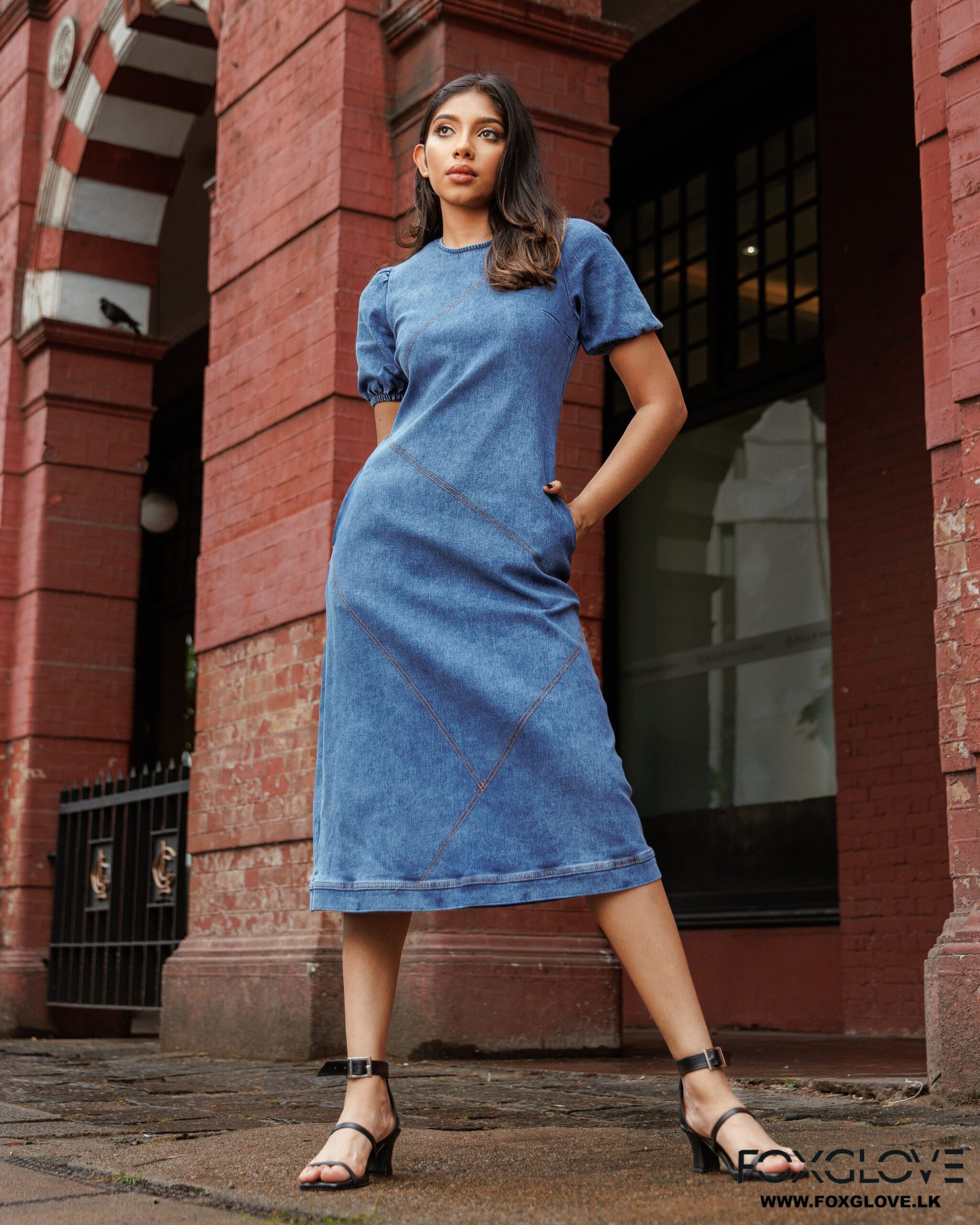 ANITA ZIG-ZAG STITCH DETAILS DENIM DRESS