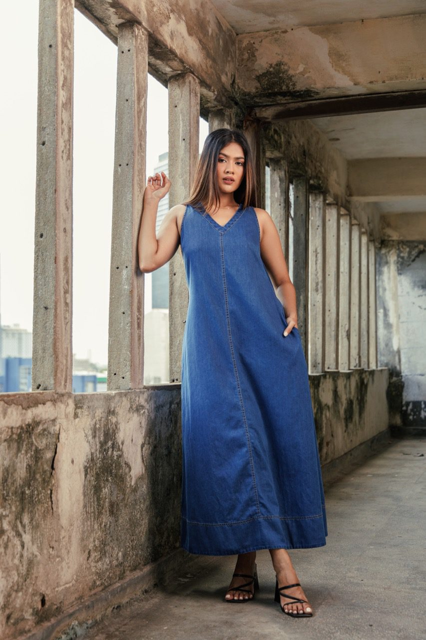 TARA A-LINE DENIM DRESS